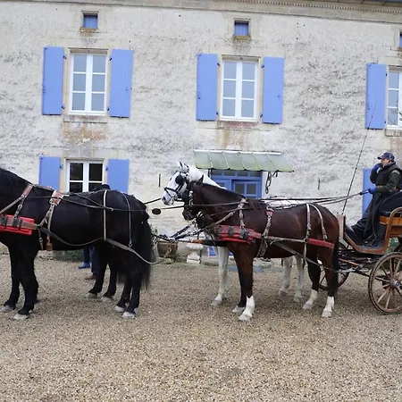 Semesterbostad In Equestrian *