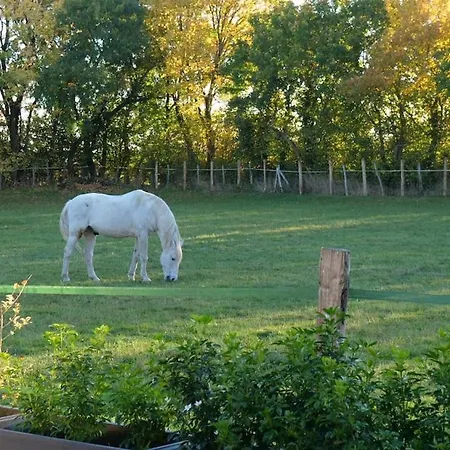 Semesterbostad In Equestrian