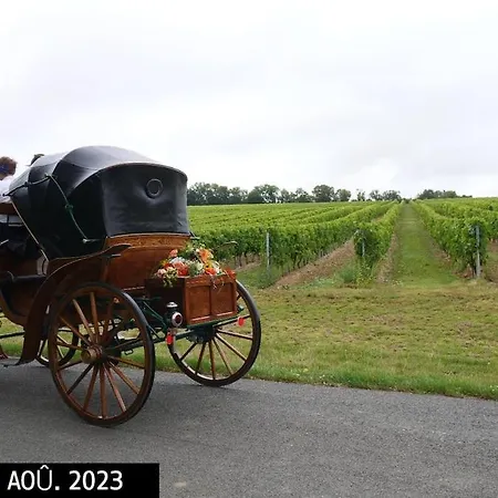 In Equestrian Verdille