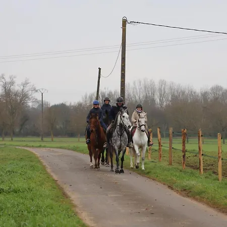 Semesterbostad In Equestrian *