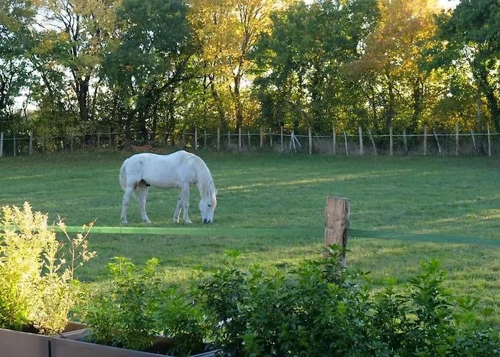 Сasa de vacaciones In Equestrian Verdille