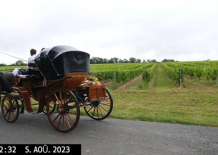 In Equestrian Verdille