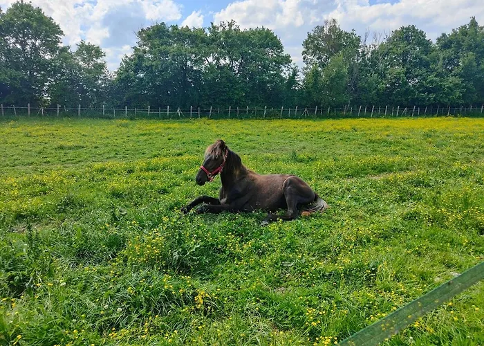 Сasa de vacaciones In Equestrian *